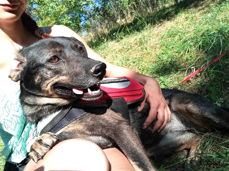 MAYA - tolle Freizeitpartnerin sucht ihr Glück