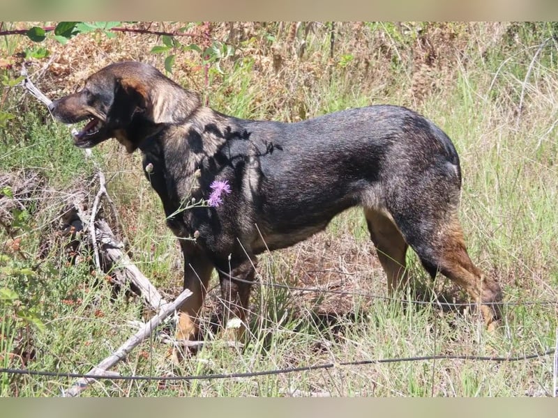 MAYA - tolle Freizeitpartnerin sucht ihr Glück