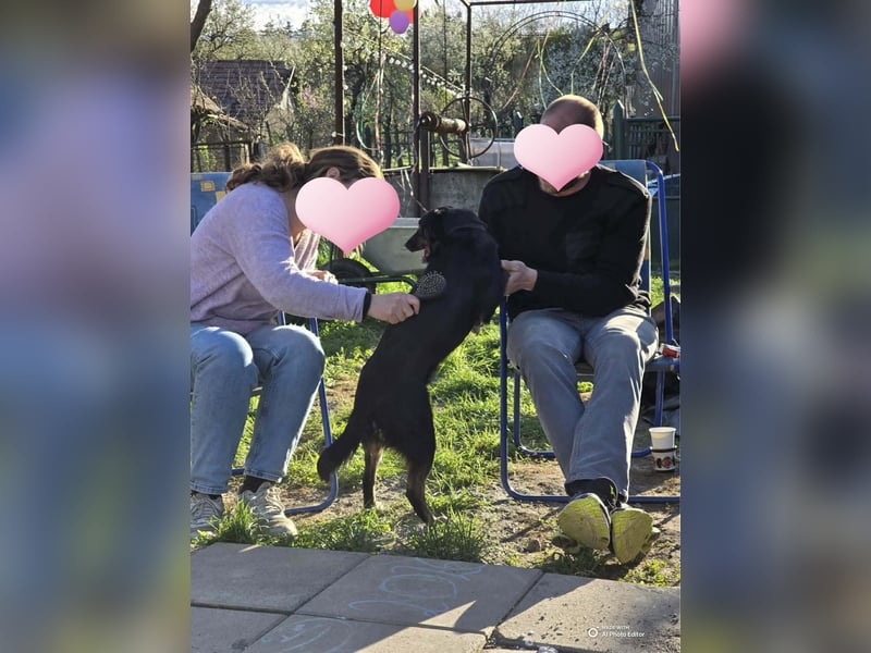 DORIS - Traumzuhause gesucht