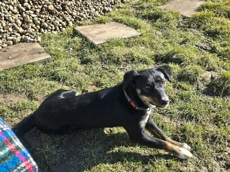 DORIS - Traumzuhause gesucht