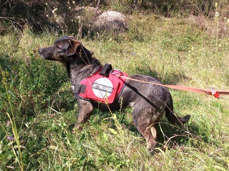 MAYA - tolle Freizeitpartnerin sucht ihr Glück