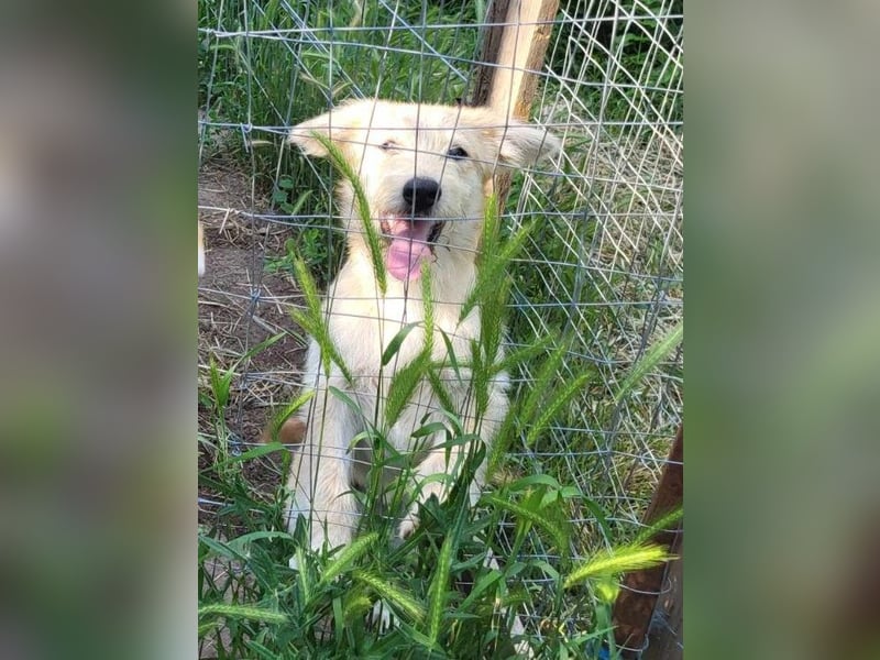 ERWIN - die kleine Knutschkugel