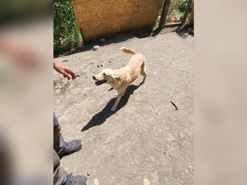 LENNI - bringt Lebensfreude ins Haus