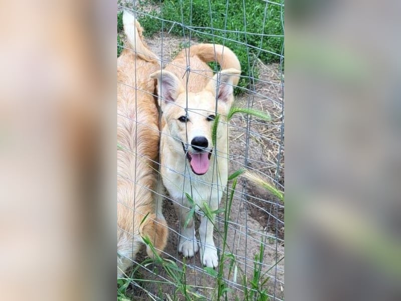 LENNI - bringt Lebensfreude ins Haus