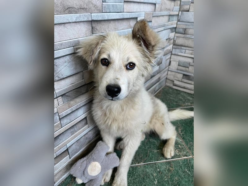 BETTY - wo findet sie ihr Glück?