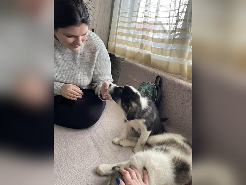 NALA - sanfte Seele sucht ihre Menschen *reserviert*