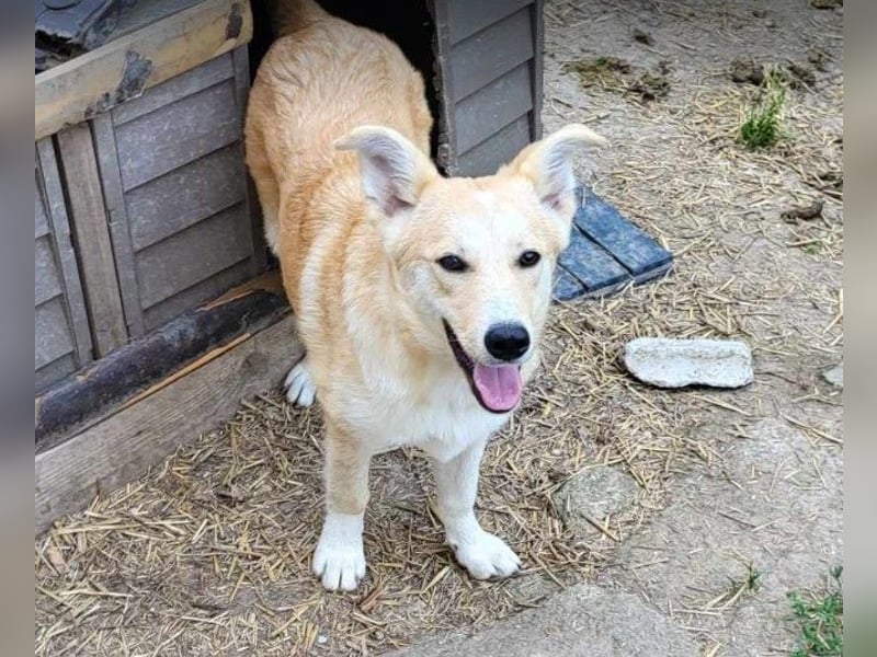 LENNI - bringt Lebensfreude ins Haus