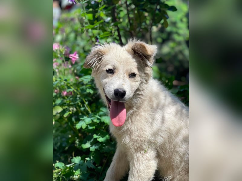 BETTY - wo findet sie ihr Glück?