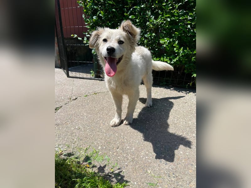BETTY - wo findet sie ihr Glück?