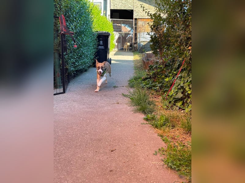 KOA - Traumzuhause gesucht
