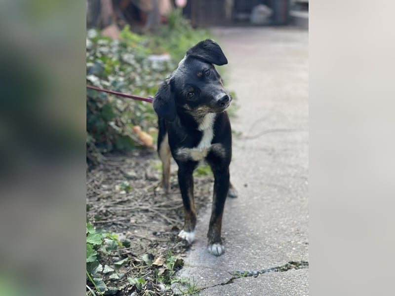 DORIS - Traumzuhause gesucht