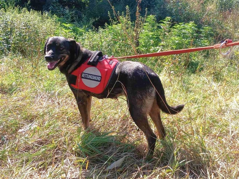 MAYA - tolle Freizeitpartnerin sucht ihr Glück