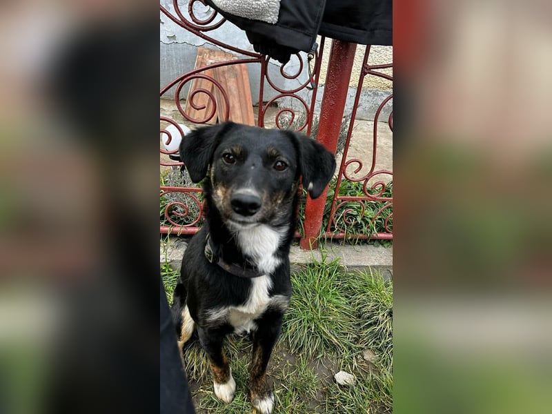 DORIS - Traumzuhause gesucht