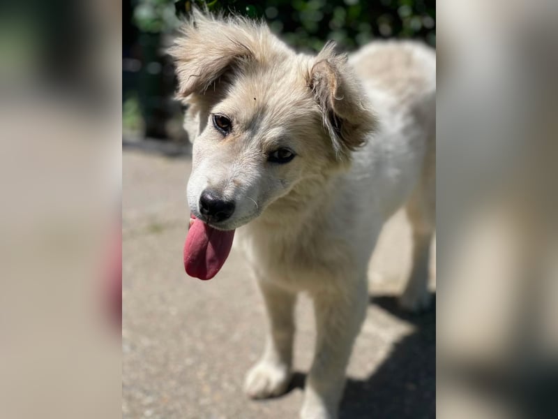 BETTY - wo findet sie ihr Glück?