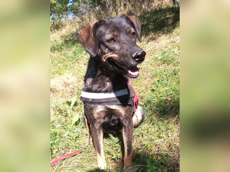 MAYA - tolle Freizeitpartnerin sucht ihr Glück