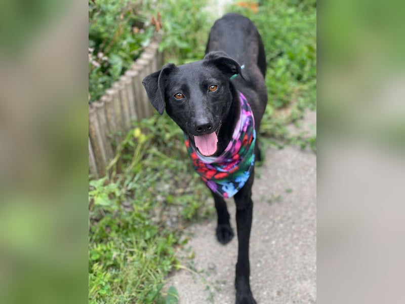 MYLA - schüchternes Mädchen sucht ihre Menschen