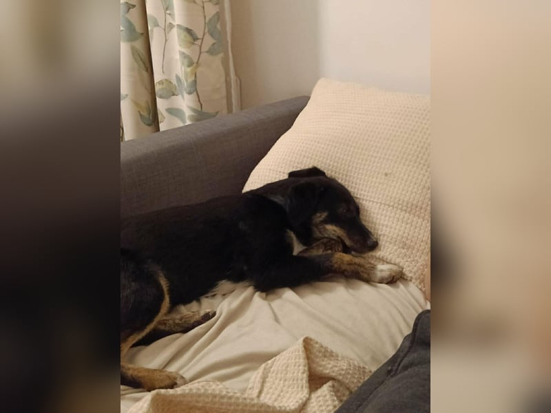 DORIS - Traumzuhause gesucht