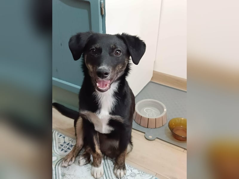 DORIS - Traumzuhause gesucht