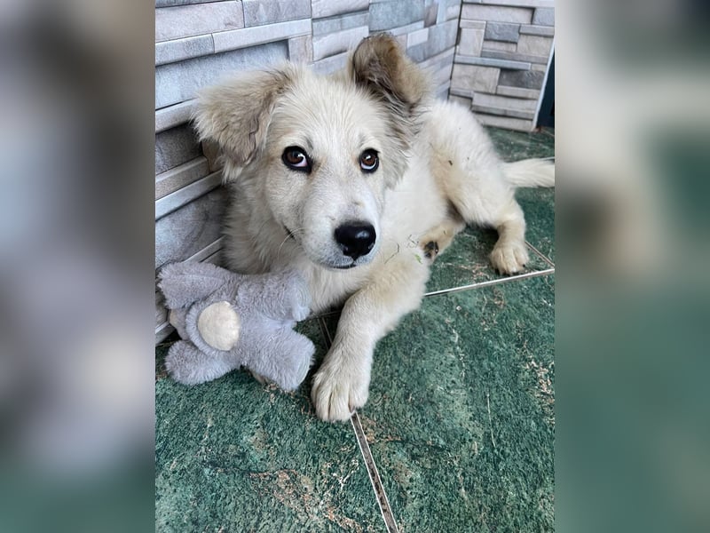 BETTY - wo findet sie ihr Glück?