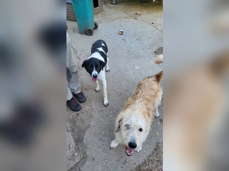 LUCA - ist bereit für Abenteuer *reserviert*