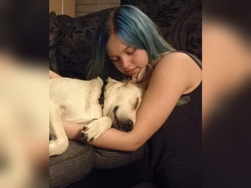 liebe sanfte Hündin, liebt Kinder und Familie