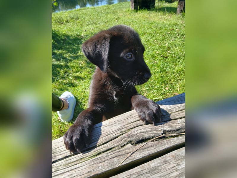 Unser Brutus muss leider wieder ausziehen