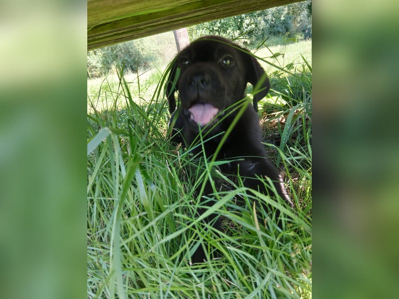 Unser Brutus muss leider wieder ausziehen