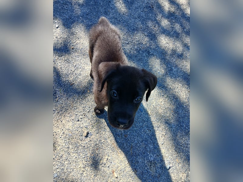 Unser Brutus muss leider wieder ausziehen