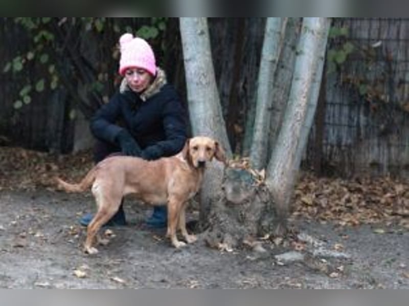 Leonie, im Oktober neu angekommen