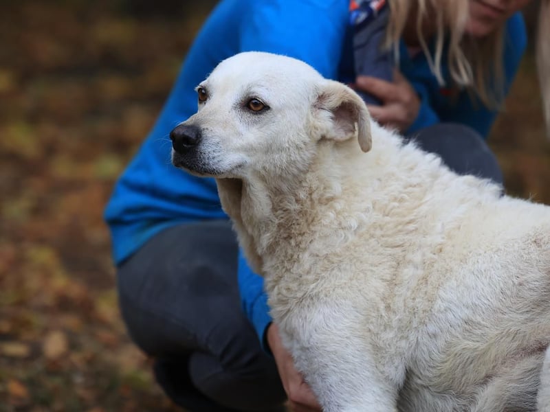 Ängstliche Bibi braucht ruhe und Verständnis