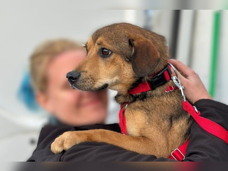 Update Benni: Auf einer PS in 32479 Hille