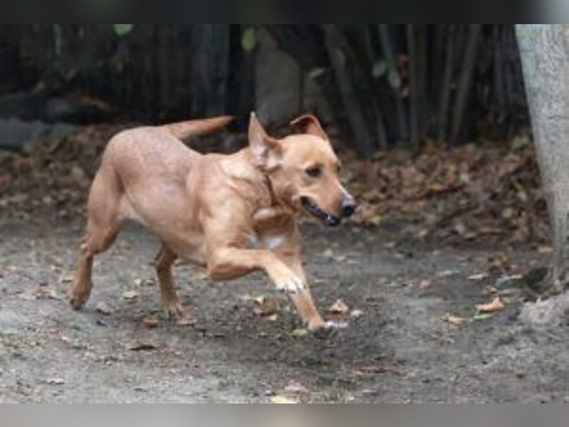 Leonie, im Oktober neu angekommen