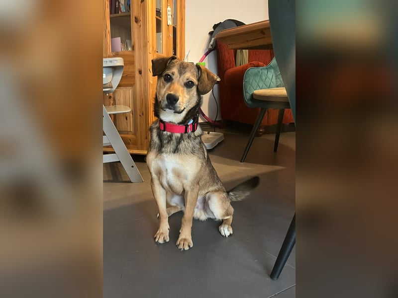 Update Benni: Auf einer PS in 32479 Hille