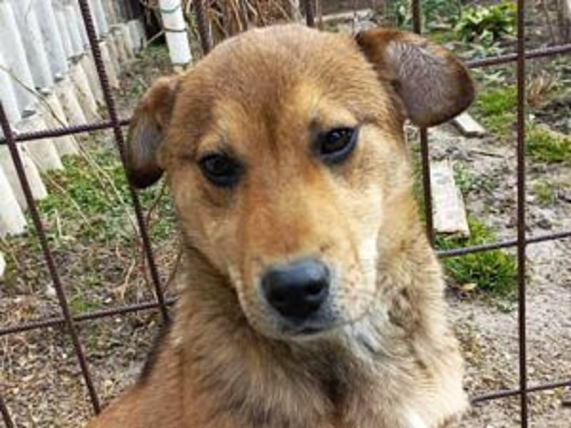 Update Benni: Auf einer PS in 32479 Hille