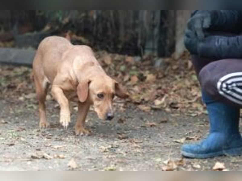Leonie, im Oktober neu angekommen
