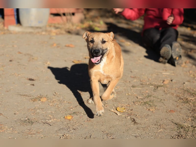 Calimero sucht ein gutes Zuhause