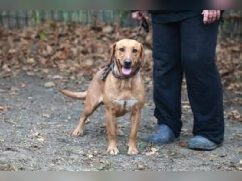 Leonie, im Oktober neu angekommen