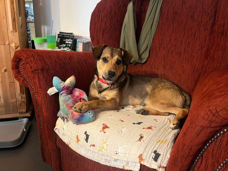 Update Benni: Auf einer PS in 32479 Hille