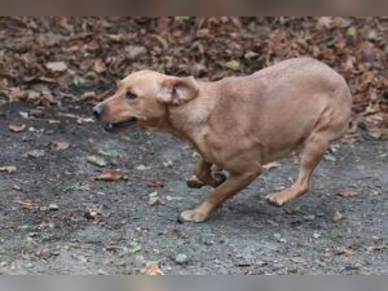 Leonie, im Oktober neu angekommen
