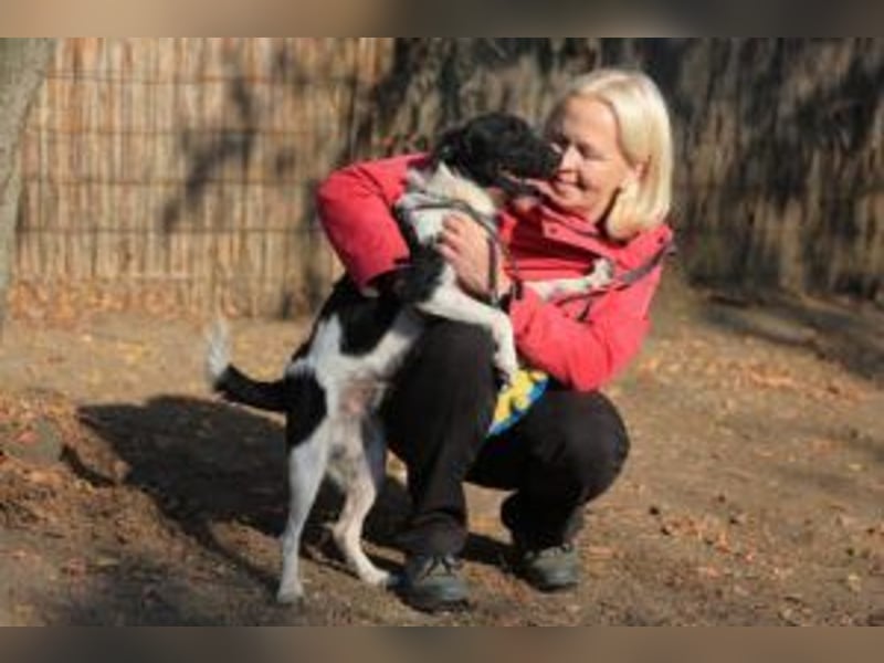 Rüde Hummel( der Name ist Programm) seine Menschen