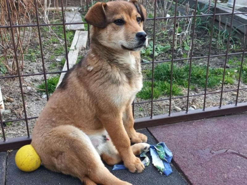 Update Benni: Auf einer PS in 32479 Hille