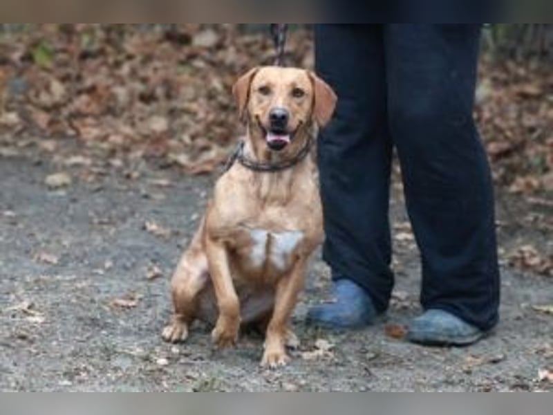 Leonie, im Oktober neu angekommen