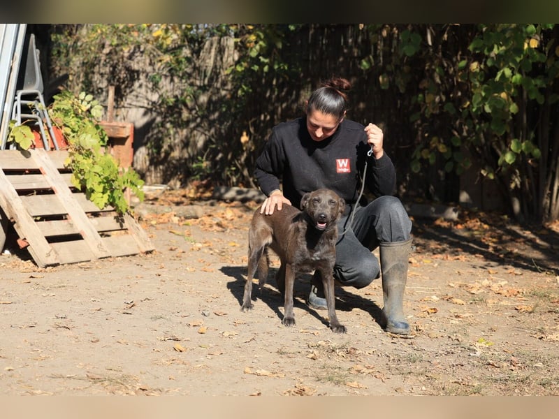 Blue: fröhlich und offen