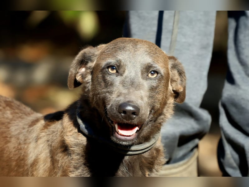 Blue: fröhlich und offen