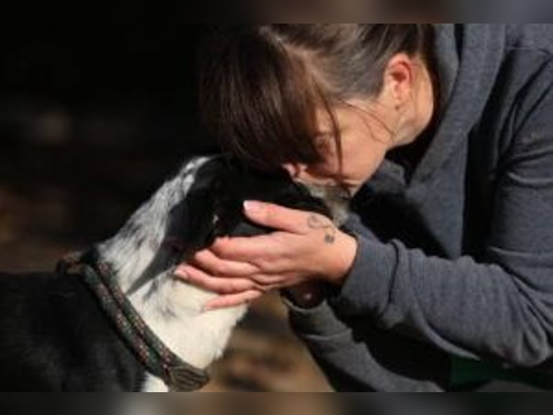 Beni, Charmanter Jungspund sucht Familie