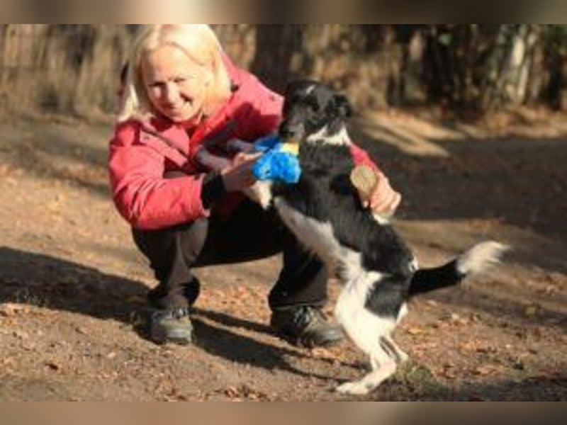 Rüde Hummel( der Name ist Programm) seine Menschen