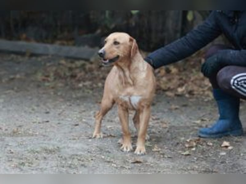 Leonie, im Oktober neu angekommen