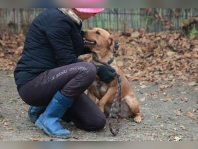 Leonie, im Oktober neu angekommen