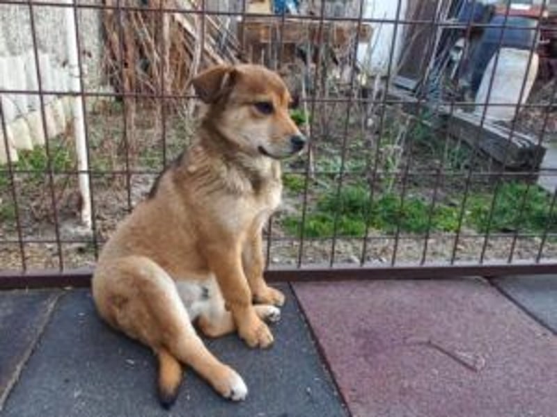 Update Benni: Auf einer PS in 32479 Hille