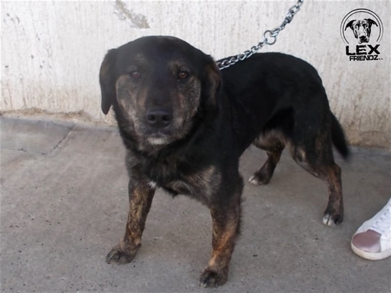 Rudolf - ruhig und kontaktfreudig